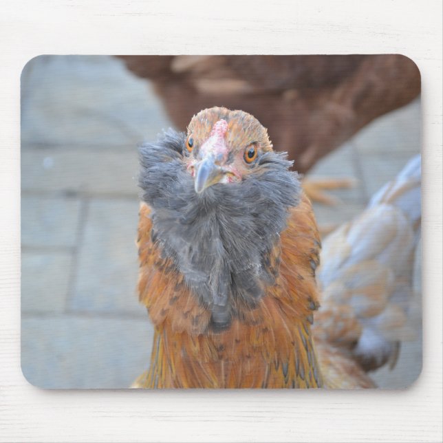 Alfombrilla De Ratón Mousepad de pollo (Frente)