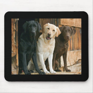 Alfombrilla De Ratón Mousepad de recuperación de Labrador amarillo, ne