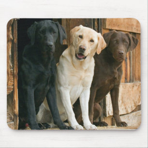 Alfombrilla De Ratón Mousepad de recuperación de Labrador amarillo, ne