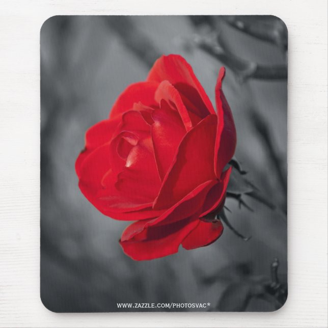 Alfombrilla De Ratón Mousepad de rosa rojo (Frente)