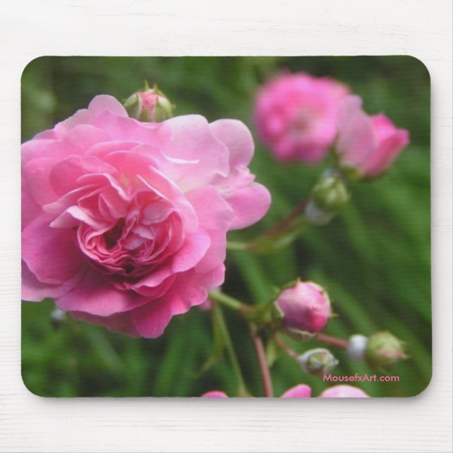 Alfombrilla De Ratón Mousepad de rosas rosadas (Frente)