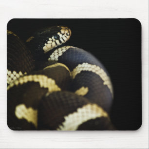 Alfombrilla De Ratón Mousepad de serpiente rey de California
