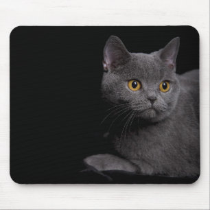 Alfombrilla De Ratón Mousepad de Shorthair británico
