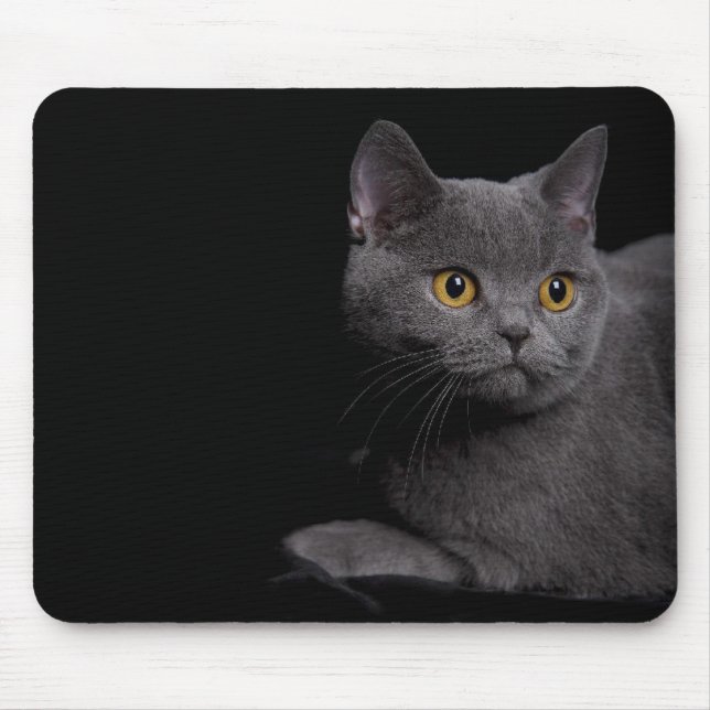 Alfombrilla De Ratón Mousepad de Shorthair británico (Frente)