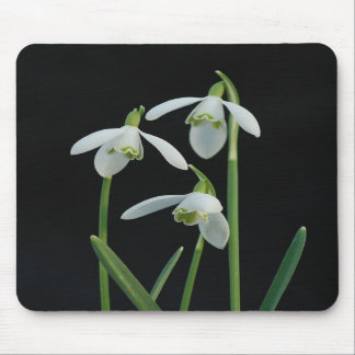 Alfombrilla De Ratón Mousepad de Snowdrops