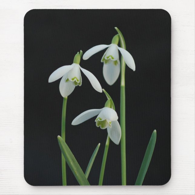 Alfombrilla De Ratón Mousepad de Snowdrops (Frente)