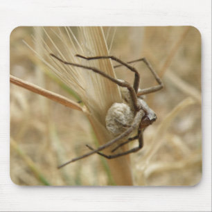 Alfombrilla De Ratón Mousepad de Spider y Egg Sac