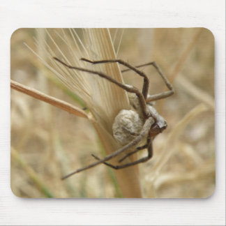 Alfombrilla De Ratón Mousepad de Spider y Egg Sac