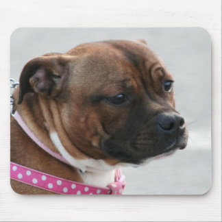 Alfombrilla De Ratón Mousepad de Staffordshire bull terrier
