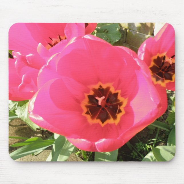 Alfombrilla De Ratón Mousepad de tulipanes rosados (Frente)