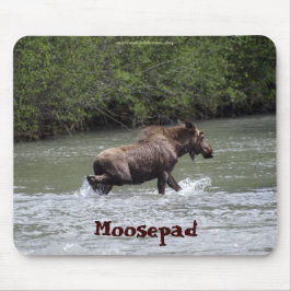 Alfombrilla De Ratón Mousepad de vida salvaje divertida de Moose