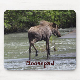 Alfombrilla De Ratón Mousepad de vida salvaje divertida de Moose