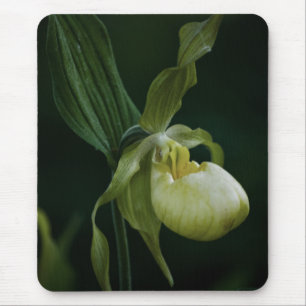 Alfombrilla De Ratón Mousepad de zapatillas amarillas