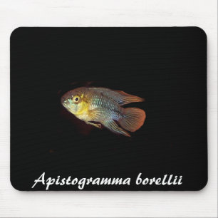 Alfombrilla De Ratón Mousepad del borellii de Apistogramma