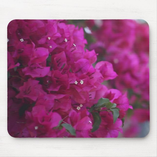 Alfombrilla De Ratón mousepad del bougainvillea (Frente)
