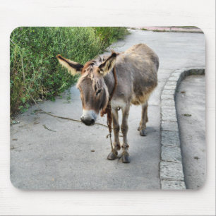 Alfombrilla De Ratón Mousepad del burro