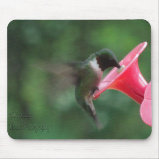 Alfombrilla De Ratón mousepad del colibrí