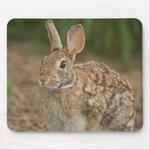 Alfombrilla De Ratón Mousepad del conejo