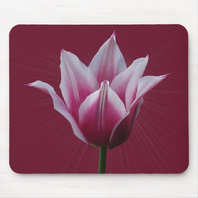 Alfombrilla De Ratón Mousepad del ~ del tulipán w/sunburst (Frente)