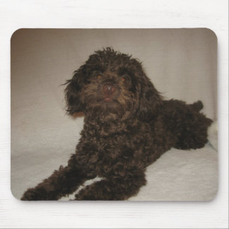 Alfombrilla De Ratón mousepad del doogy