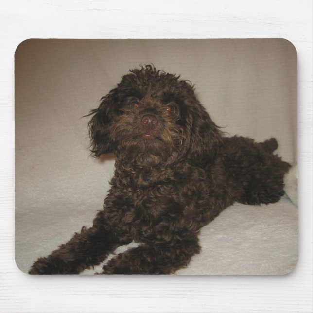 Alfombrilla De Ratón mousepad del doogy (Frente)