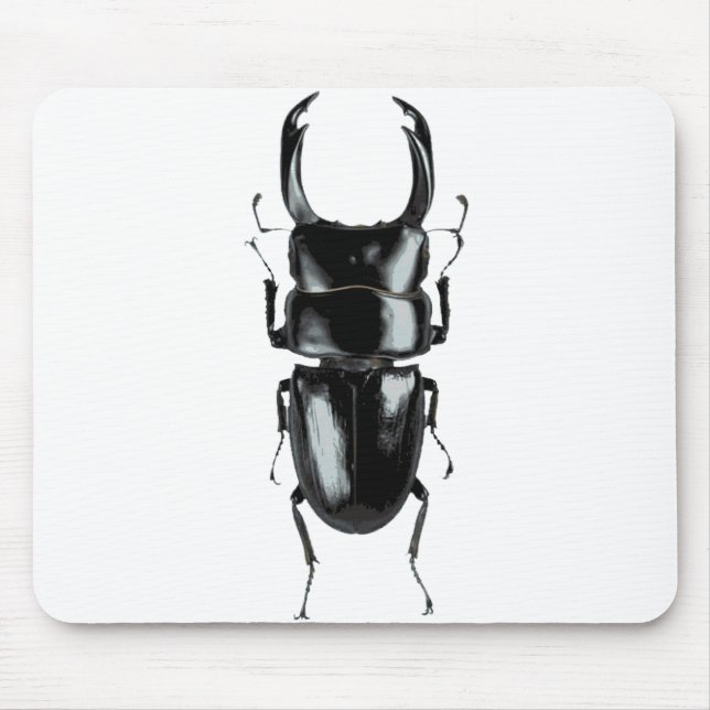 Alfombrilla De Ratón Mousepad del escarabajo de macho (Frente)
