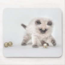 Mousepad del gatito de Ragdoll