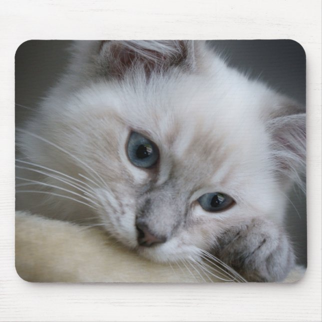 Alfombrilla De Ratón mousepad del gatito del ragdoll (Frente)