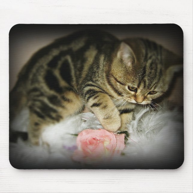 Alfombrilla De Ratón Mousepad del gatito del Tabby (Frente)