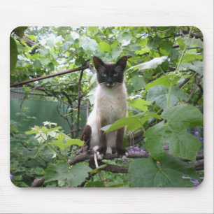 Alfombrilla De Ratón Mousepad del gato