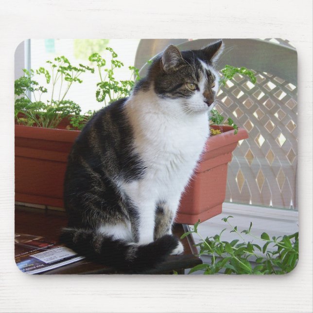 Alfombrilla De Ratón mousepad del gato (Frente)