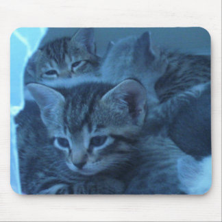 Alfombrilla De Ratón Mousepad del gato