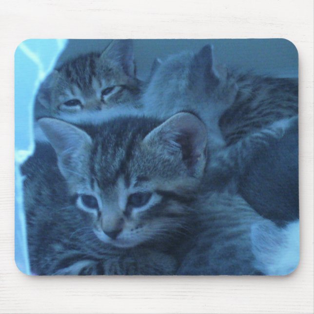 Alfombrilla De Ratón Mousepad del gato (Frente)