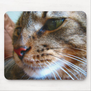 Alfombrilla De Ratón Mousepad del gato de Tabby
