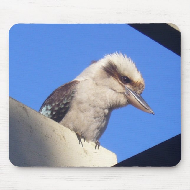 Alfombrilla De Ratón mousepad del kookaburra (Frente)