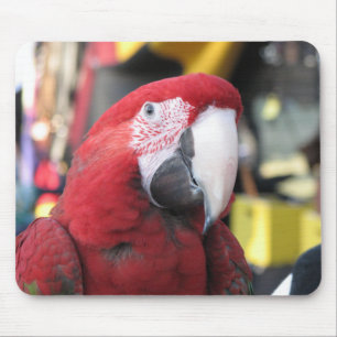 Alfombrilla De Ratón Mousepad del Macaw