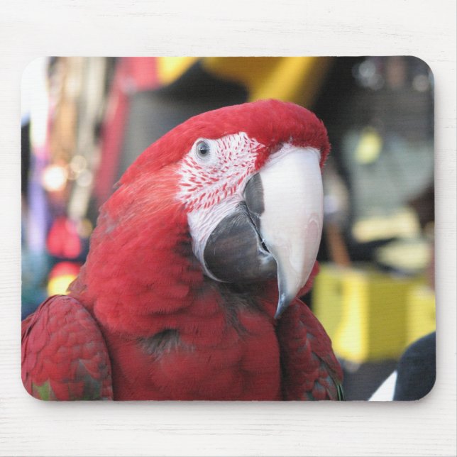 Alfombrilla De Ratón Mousepad del Macaw (Frente)