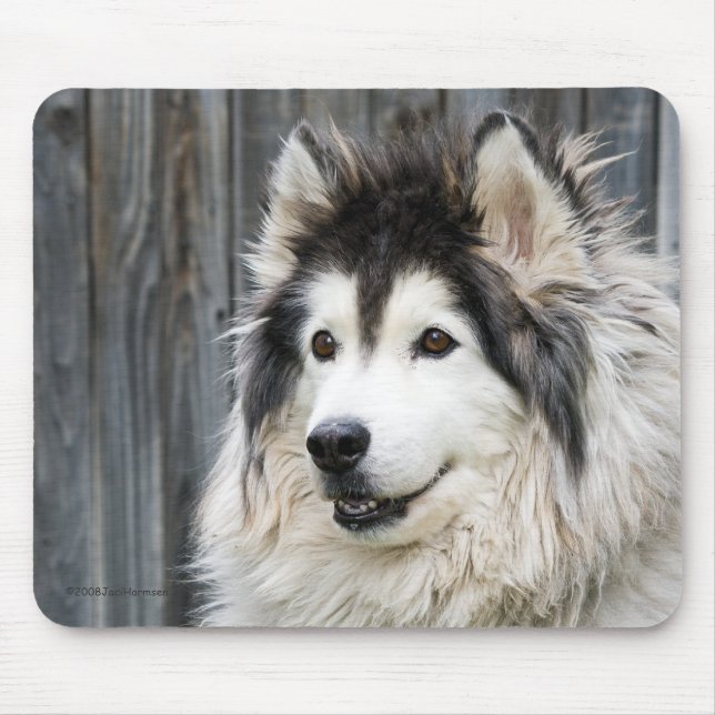 Alfombrilla De Ratón Mousepad del Malamute de Alaska (Frente)