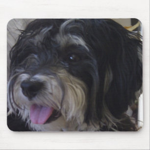 Alfombrilla De Ratón mousepad del maltipoo
