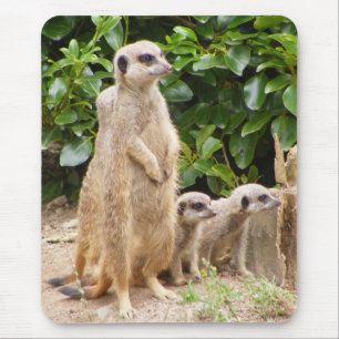 Alfombrilla De Ratón mousepad del meerkat
