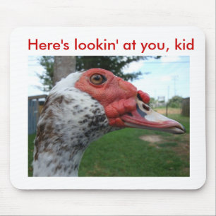 Alfombrilla De Ratón Mousepad del pato de Muscovy