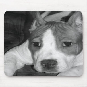 Alfombrilla De Ratón Mousepad del perrito de Pitbull