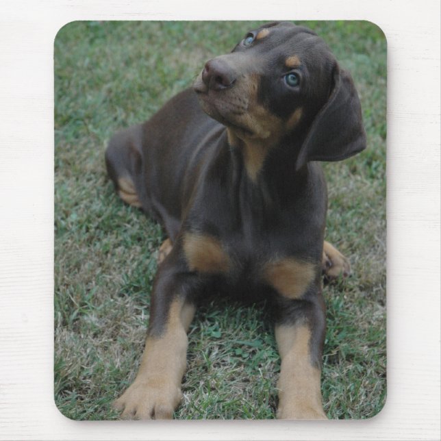 Alfombrilla De Ratón Mousepad del perrito del Doberman (Frente)