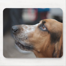 Mousepad del perro