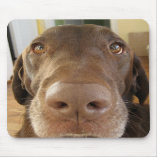 Alfombrilla De Ratón Mousepad del POP