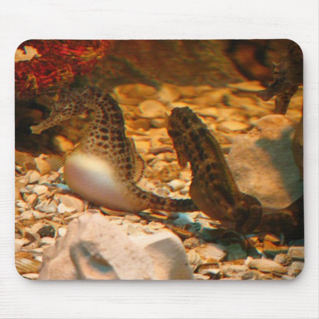 Alfombrilla De Ratón Mousepad del Seahorse (Frente)