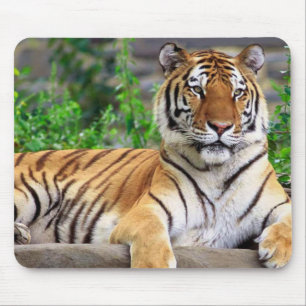 Alfombrilla De Ratón Mousepad del tigre siberiano