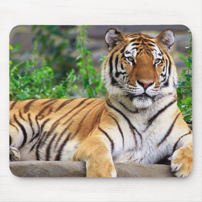 Alfombrilla De Ratón Mousepad del tigre siberiano (Frente)