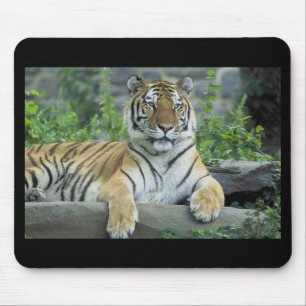 Alfombrilla De Ratón Mousepad del tigre siberiano