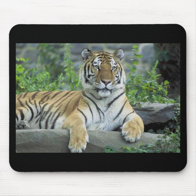 Alfombrilla De Ratón Mousepad del tigre siberiano (Frente)